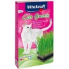 VITAKRAFT Collation Pour Chat Vitakraft Cat Grass