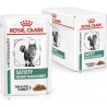 Royal Canin 9003579006146 Nourriture Humide Pour Chats 85g