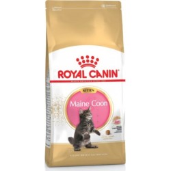 Royal Canin Maine Coon Kitten Croquette Pour Chat 400 G Chatons Volaille, Riz