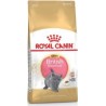 Royal Canin British Shorthair Kitten Croquette Pour Chat 400 G Adulte Volaille