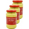 AGIDRA Moutarde Forte De Dijon Agidra