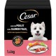 CESAR Croquettes pour Chien Adulte Petit -10Kg Tendre Croustillant Poulet Saumon Riz Légumes Printaniers