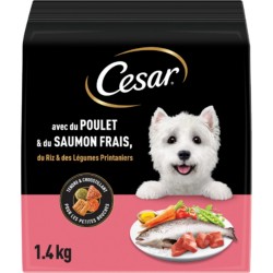 CESAR Croquettes pour Chien Adulte Petit -10Kg Tendre Croustillant Poulet Saumon Riz Légumes Printaniers
