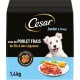 CESAR Croquettes pour Chien Junior 2-10 Mois Poulet Frais Riz & Légumes