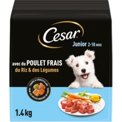 CESAR Croquettes pour Chien Junior 2-10 Mois Poulet Frais Riz & Légumes