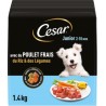CESAR Croquettes pour Chien Junior 2-10 Mois Poulet Frais Riz & Légumes