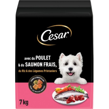 CESAR Croquettes pour Chien Adulte Poulet Saumon Riz Légumes