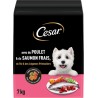 CESAR Croquettes pour Chien Adulte Poulet Saumon Riz Légumes