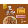 ULTIMA Pâtée pour Chien Adulte Petit - 10Kg en Sauce Saumon Dinde