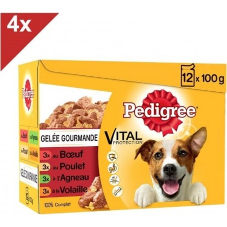 PEDIGREE 48 Sachets Fraã®cheur En Gelã©e 4 Variã©tã©s Pour Chien 100g (4x12)