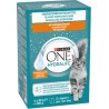 PURINA Aliment Complémentaire pour Chat Adulte One Hydralife Huhn Poulet