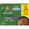 ULTIMA Pâtée Pour Chat Adulte En Sauce Stérilisé Contrôle du Poids Facile à Digérer Saumon Truite Poisson de l'Océan Thon Fit &