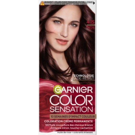 GARNIER Coloration Cheveux Marron Glacé 4,15