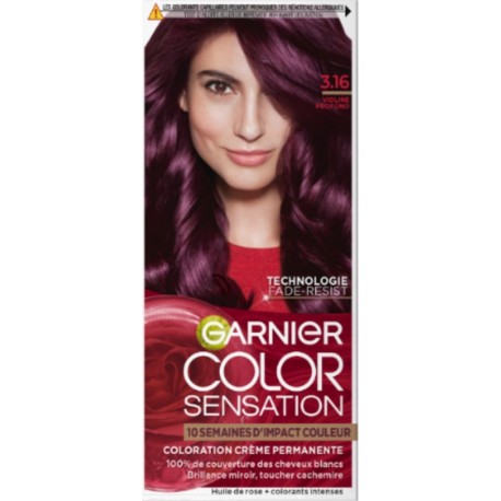 GARNIER Coloration Cheveux Violine Profond 3,16