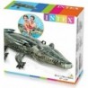 Intex Crocodile