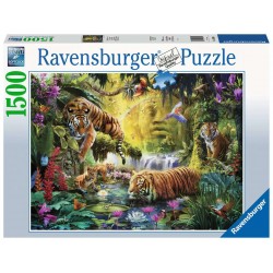 Ravensburger Puzzle 1500 pièces - Tigres au plan d'eau
