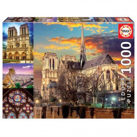 Puzzle 1000 COLLAGE DE NOTRE-DAME