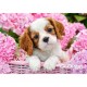 Puzzle Chiot en fleurs roses