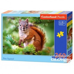 Puzzle Pine Squirrel, Puzzle 260 pièces