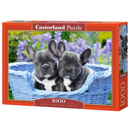 Puzzle Bouledogue Français Chiots, Puzzle 1000 Teiles