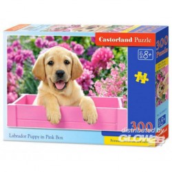 Puzzle Labrador Puppy in Pink Box, Puzzele 300 T