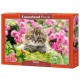 Puzzle Chaton dans un jardin de fleurs, Puzzle 500 pièces