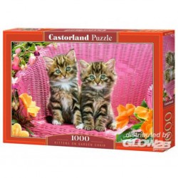 Puzzle Chatons sur chaise de jardin, puzzle 1000 partie