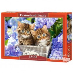 Puzzle Cute Kittens, puzzle 1500 parties