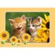 Puzzle Deux chatons avec des tournesols