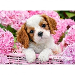 Puzzle Pup in Pink Flowers, puzzle 180 parties