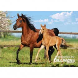 Puzzle Mare and Foal, Puzzle 260 pièces