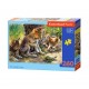 Puzzle Loups autour d'une tortue