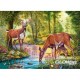 Puzzle Woodland Stream, puzzle 300 parties