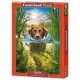 Puzzle Chien de natation