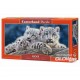 Puzzle Snow Leopard Cubs, Puzzle 600 parties