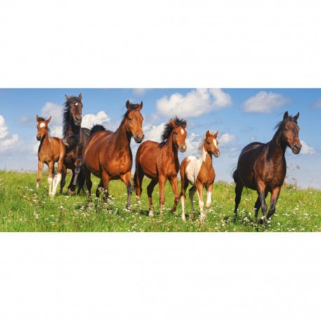 Puzzle Paradis des chevaux