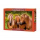 Puzzle Amis du cheval