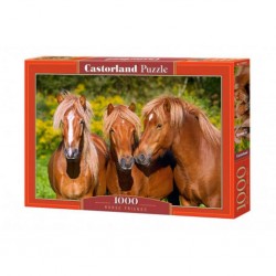 Puzzle Amis du cheval