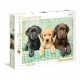 Puzzle Trois Chiots (A3x1)