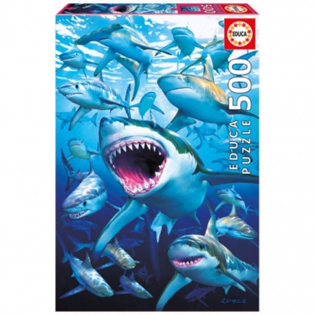 Puzzle Requins (shark club)