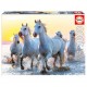 Puzzle Chevaux blancs au coucher du soleil