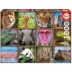 Puzzle Collage d'animaux sauvages