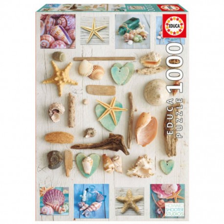 Puzzle Collage de coquillages