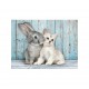 Puzzle Chat et lapin