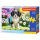 Puzzle Chiot épagneul en fleurs, Puzzle 70 pièces