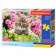 Puzzle Chaton dans le jardin de fleurs, Puzzle 100 couleurs