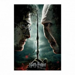 Puzzle Harry Potter Puzzle Harry vs Voldemort