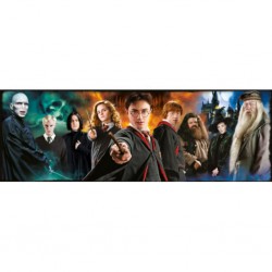 Puzzle Harry Potter Puzzle Panorama Personnages
