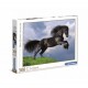 Puzzle Fresian black horse