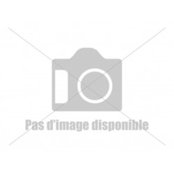 Facom Ensemble mors et ressort de réparation pour porte outils Facom 830A.5 et 830A.5L 830A.5RN